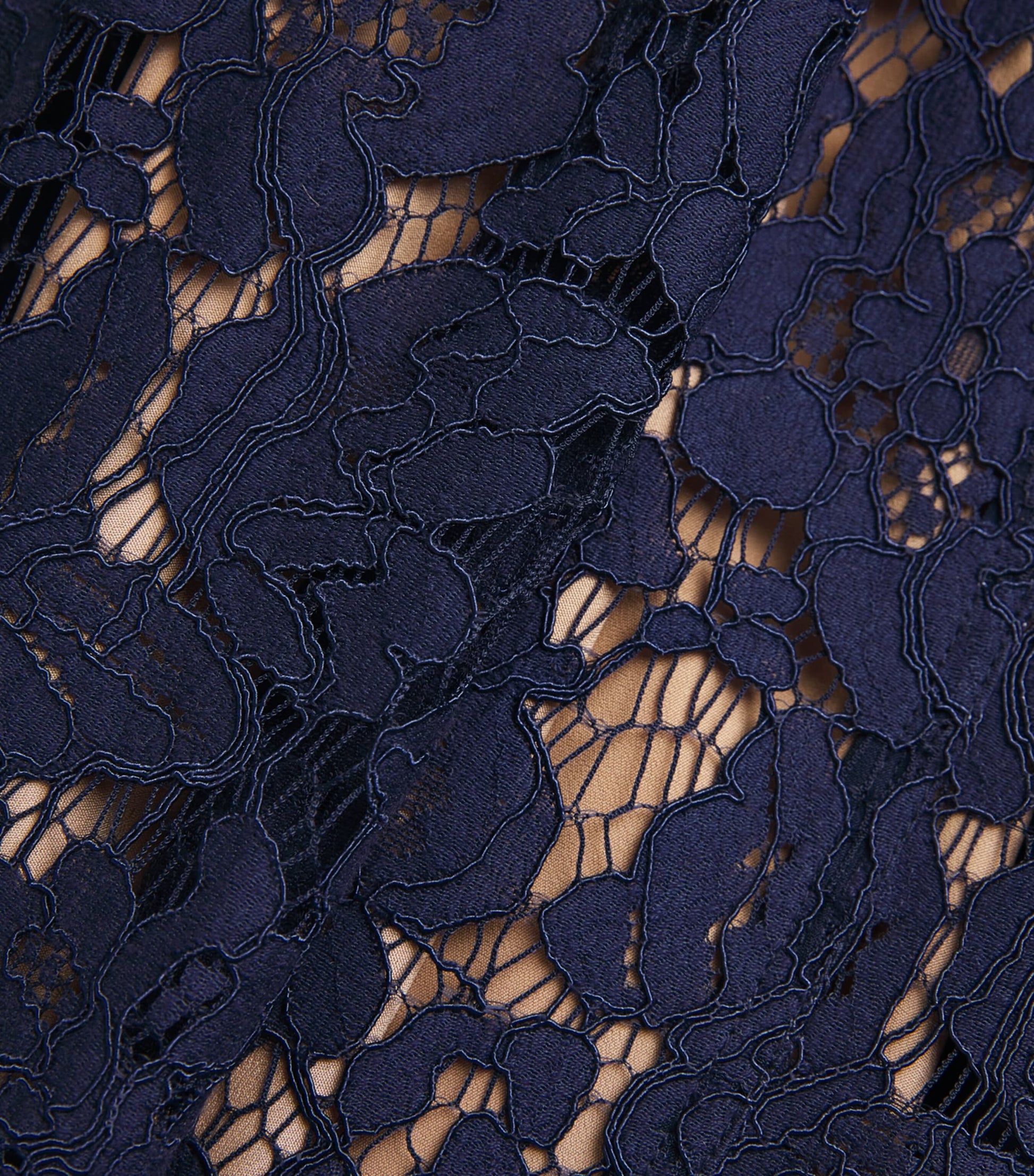 Self-Portrait Blue Lace Collared Midi Dress