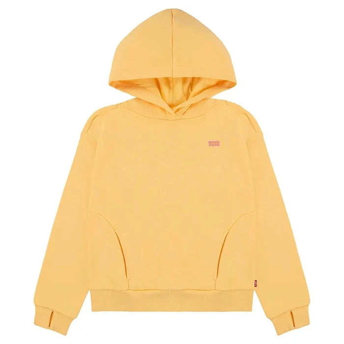Levi's BATWING PATCH HOODIE Çocuk Sweatshirt