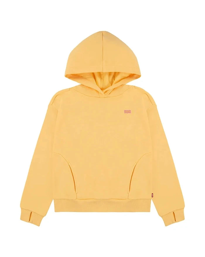 Levi's BATWING PATCH HOODIE Çocuk Sweatshirt