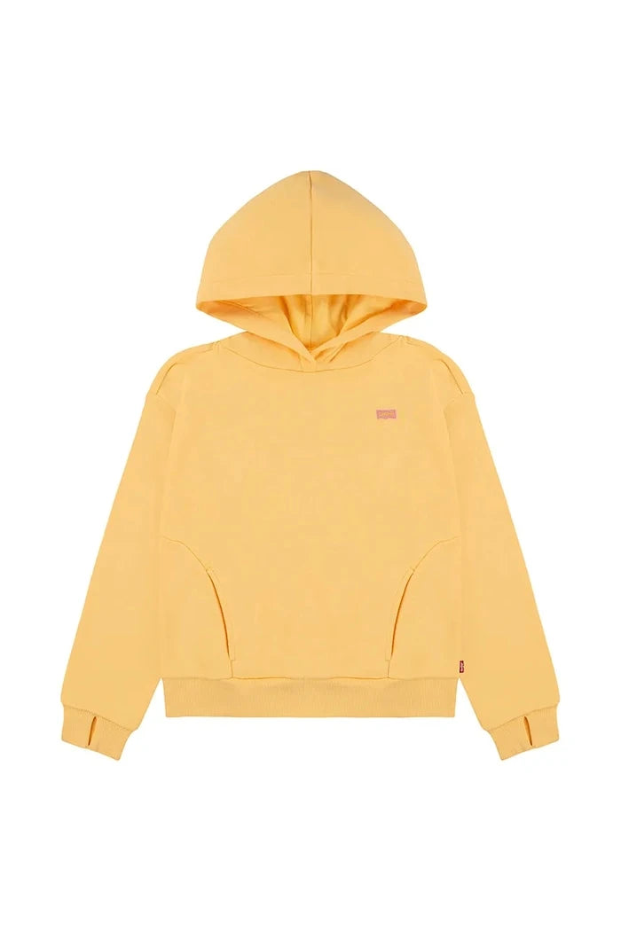 Levi's BATWING PATCH HOODIE Çocuk Sweatshirt