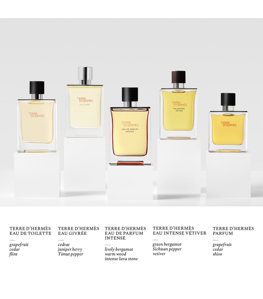 HERMÈS Terre d’Hermès Eau de Parfum Intense (50ml)