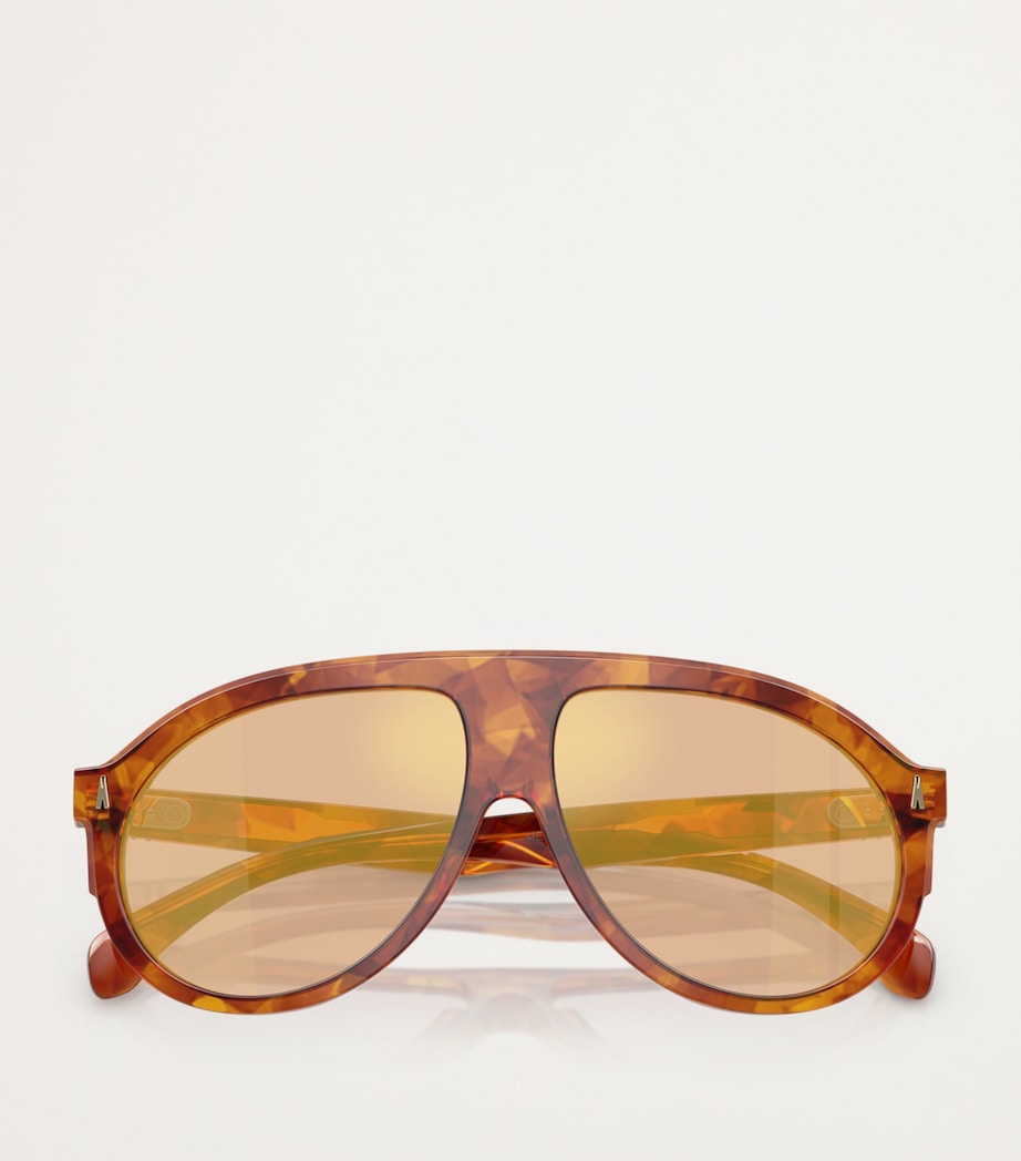 Moncler Brown Acetate Fhaite ME6001 Sunglasses