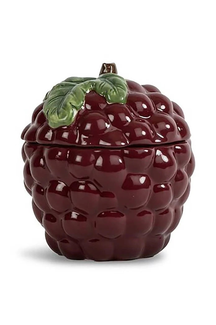 Kapaklı Kutu Byon Bowl Grape