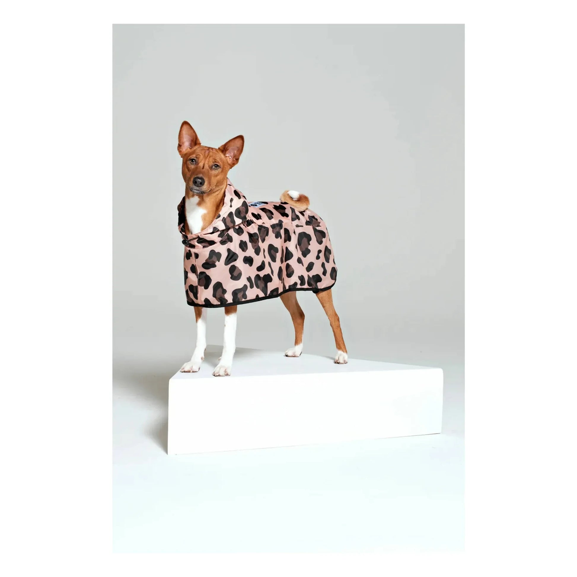 Rainkiss - Pink Panther Waterproof Dog Cape  | Pink