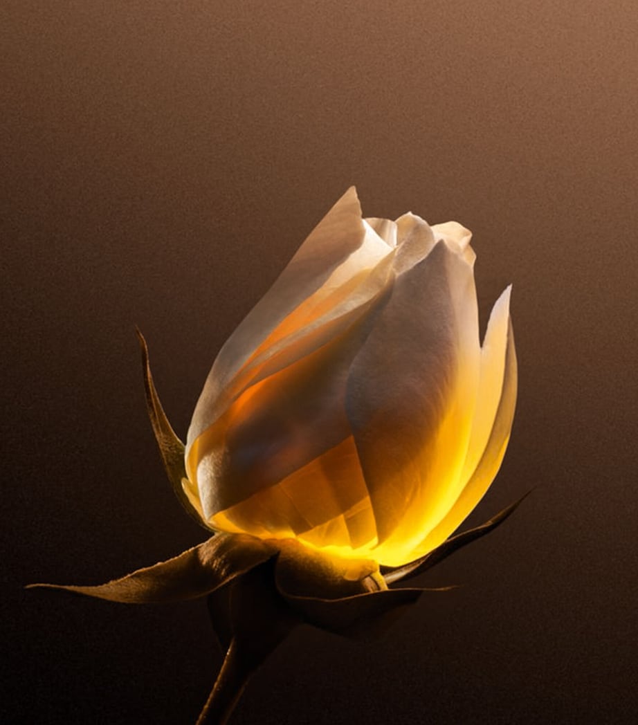 Dior Prestige Le Nectar Premier (30ml)