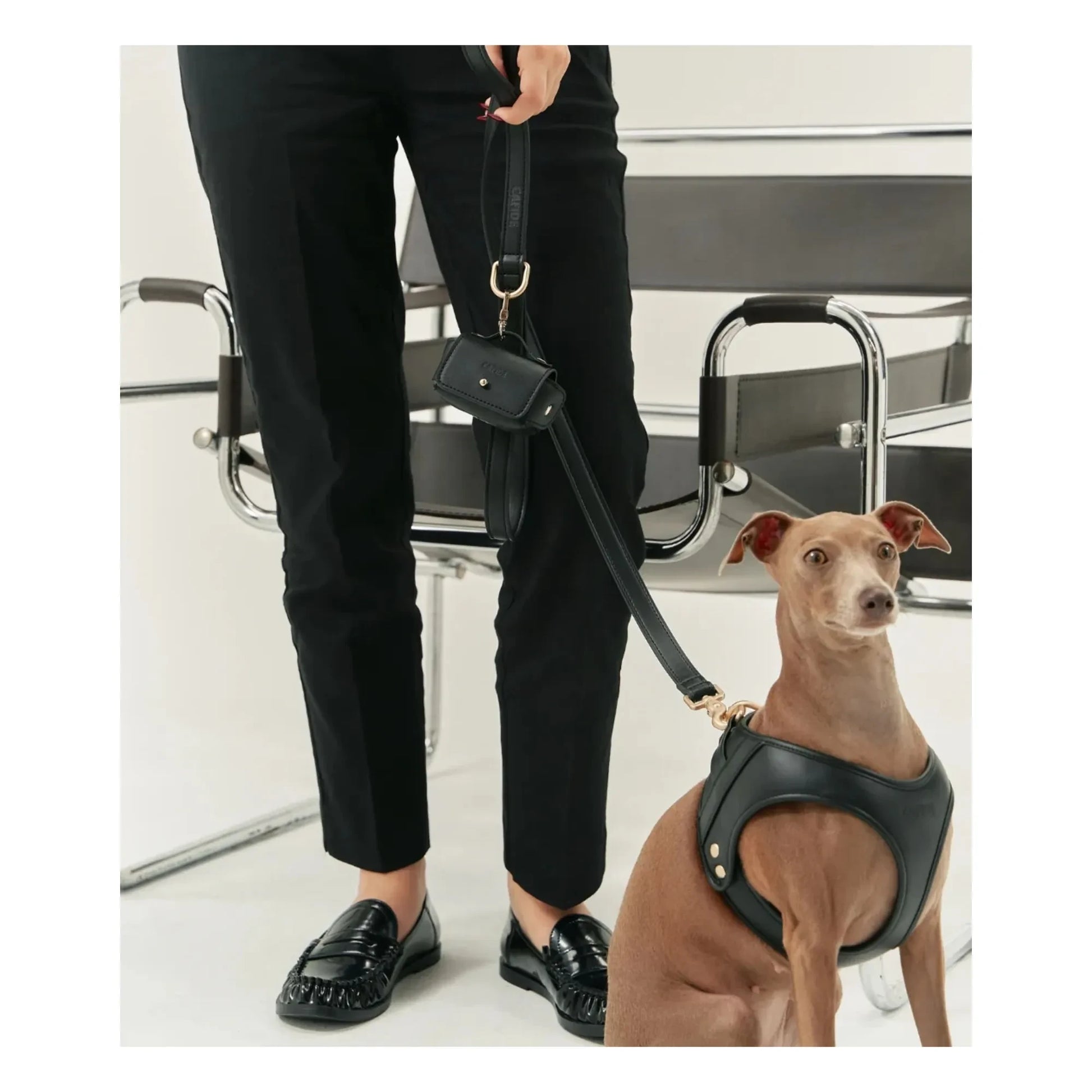 Cafide - Vegan leather dog leash | Black