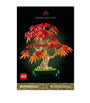 Botanicals Japanese Red Maple Bonsai Tree 10348