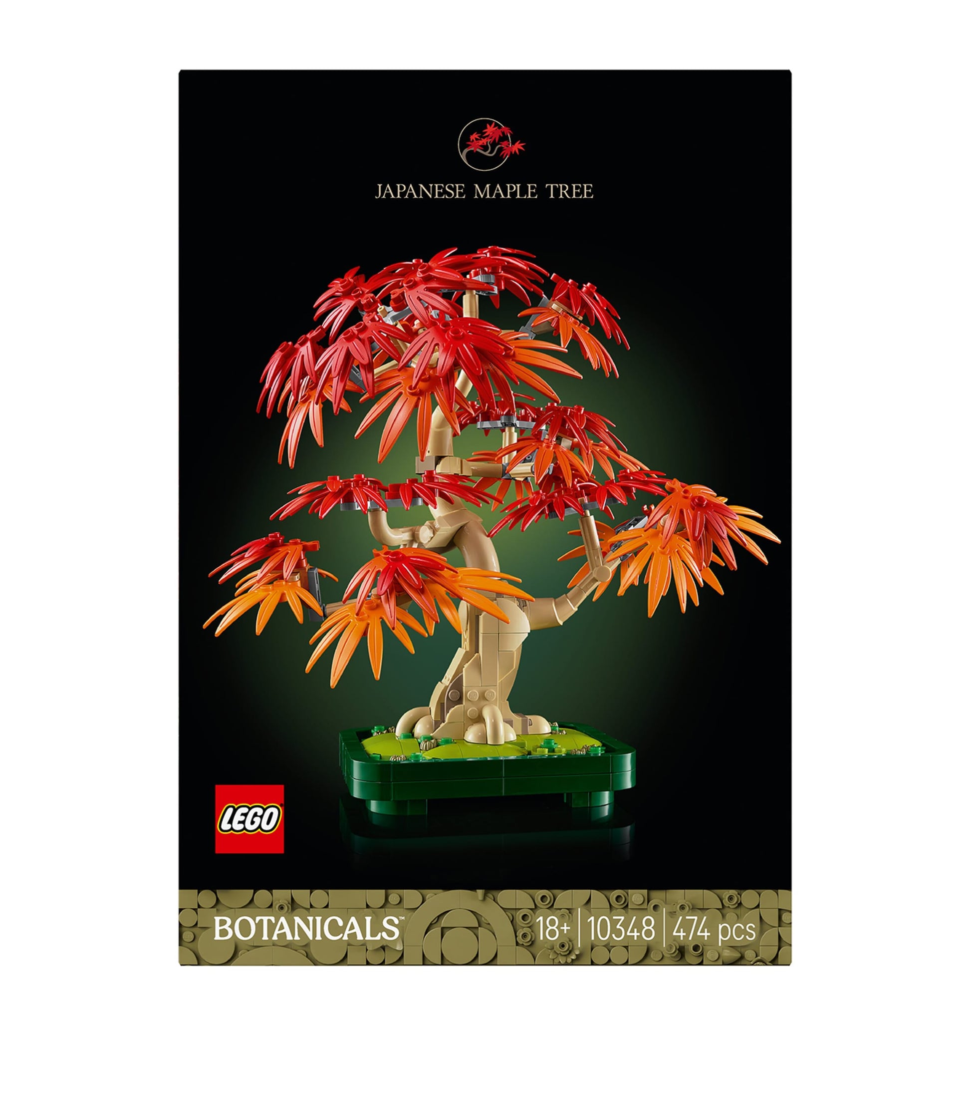 Botanicals Japanese Red Maple Bonsai Tree 10348