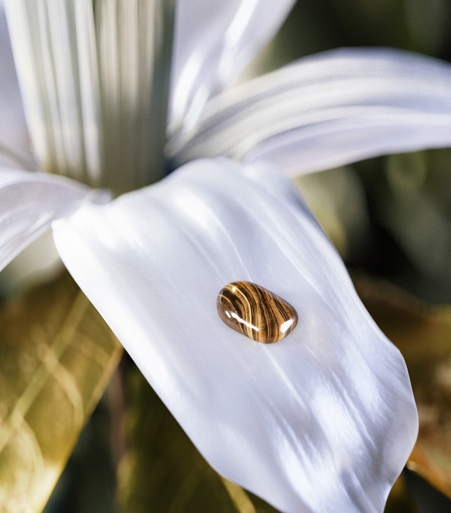 Le Gemme Tygar Eau de Parfum (60ml)