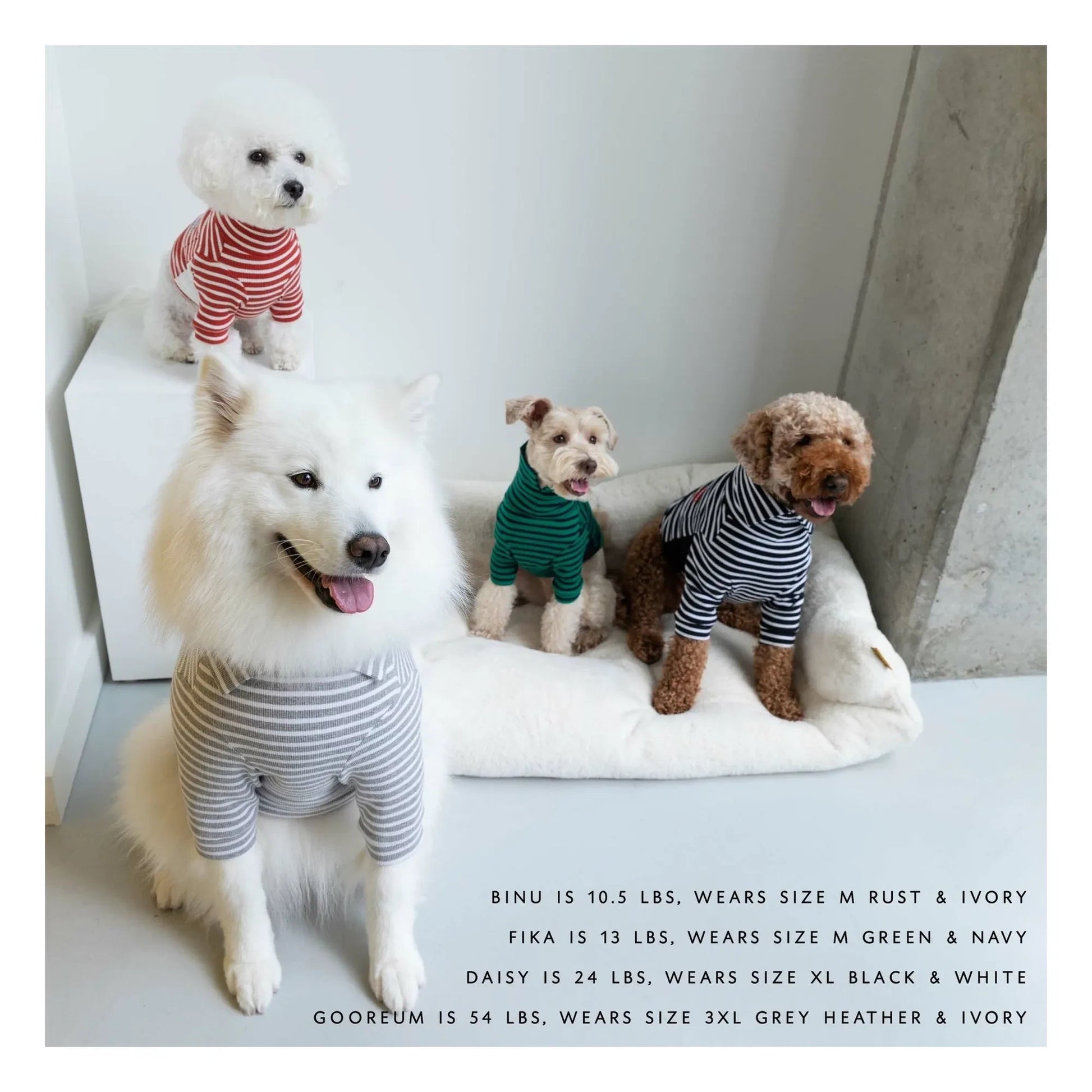 The Furry Folks - Striped sweater | Green