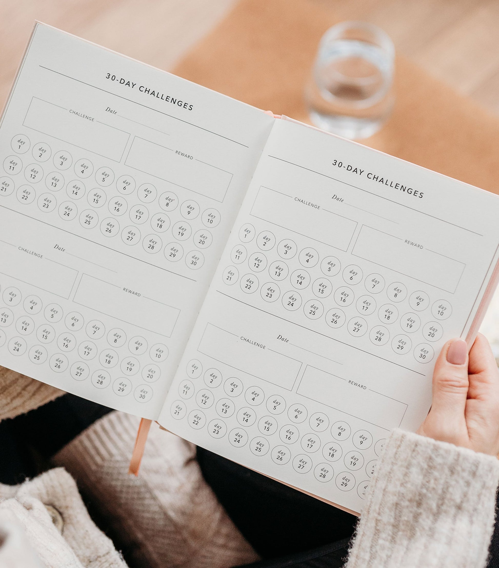 Blush and Gold Daily Fitness & Meal Planner