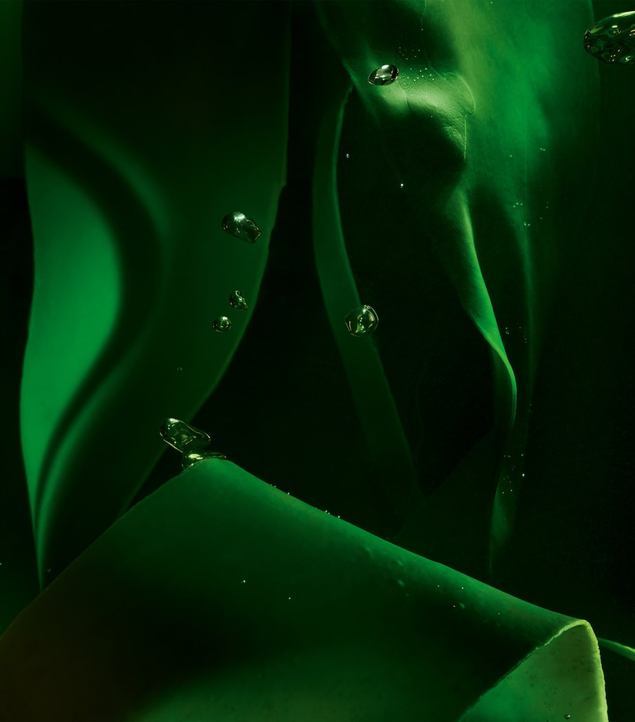 Orveda Overnight Reviving Mask (50ml)