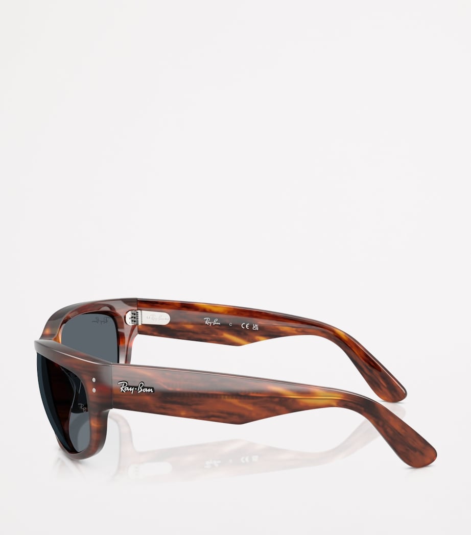 Ray-Ban Brown RB2289 Mega Balorama Sunglasses