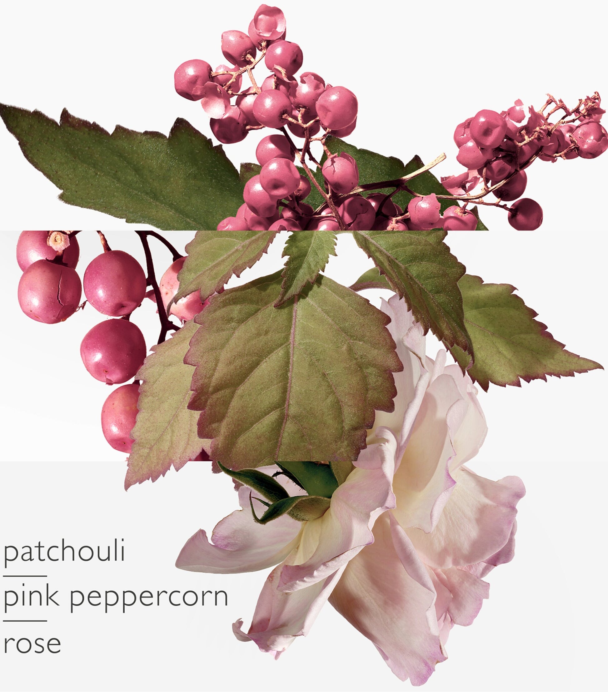 HERMÈS Twilly d'Hermès Eau Poivrée Eau de Parfum (50ml)