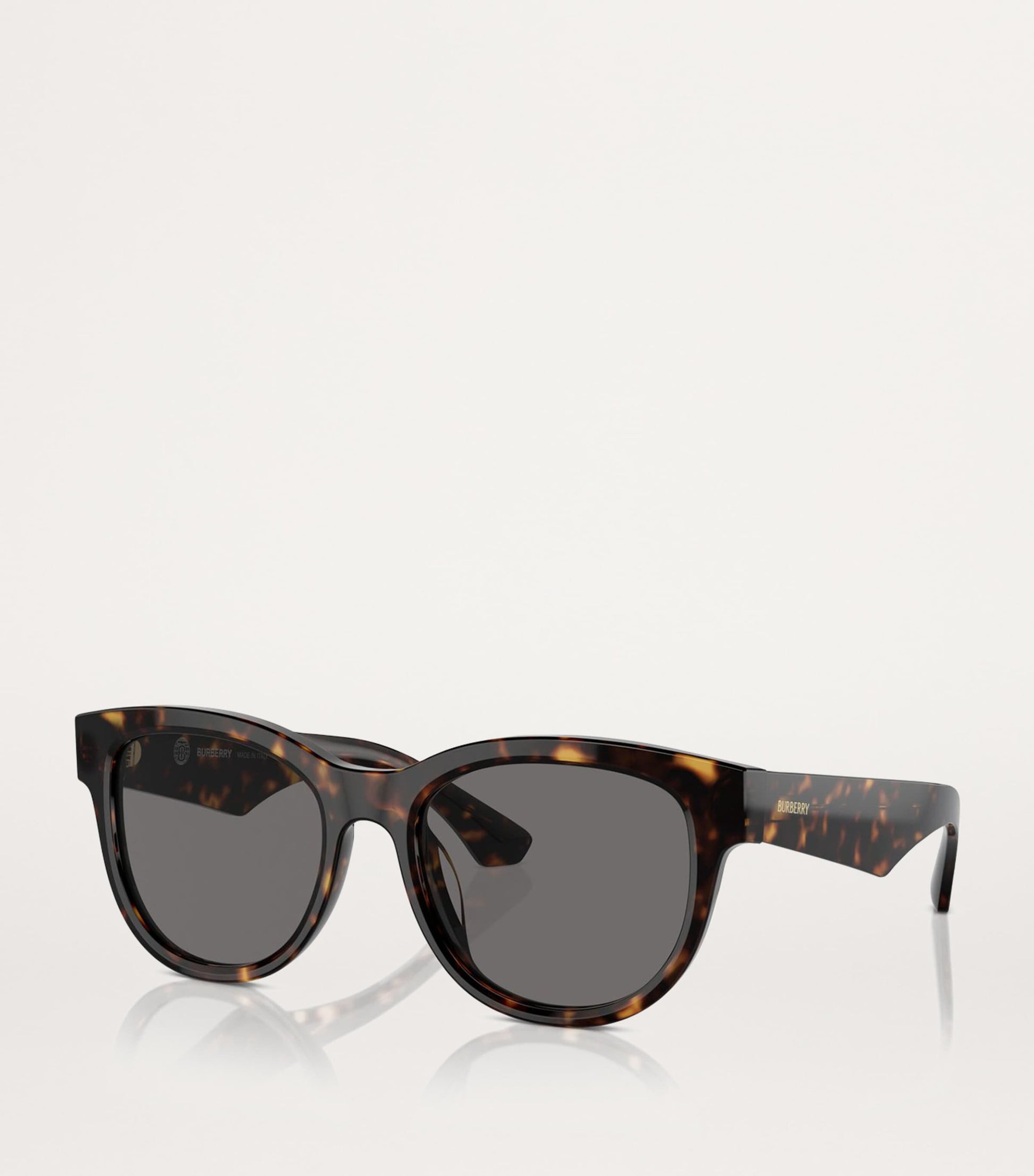 Brown Steel BE4432U Sunglasses