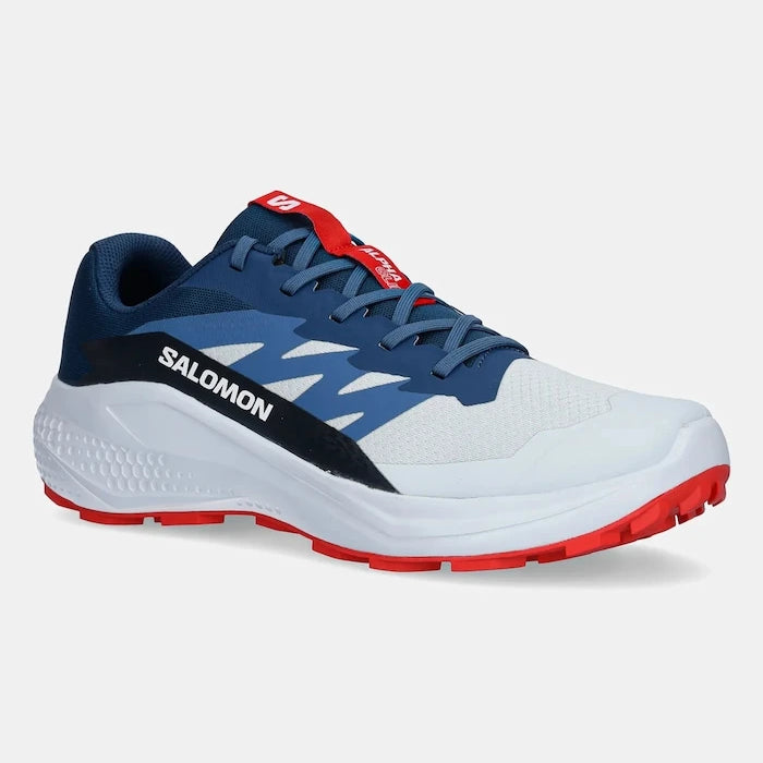 Обувки Salomon Alphaglide
