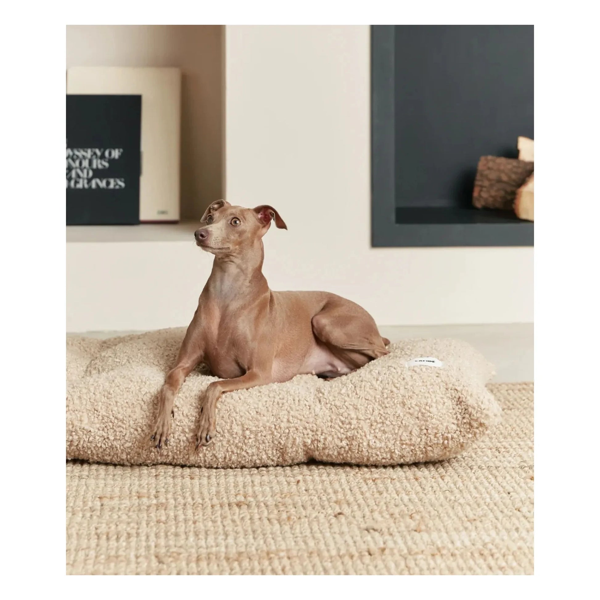 Cafide - Bela dog mattress | Beige