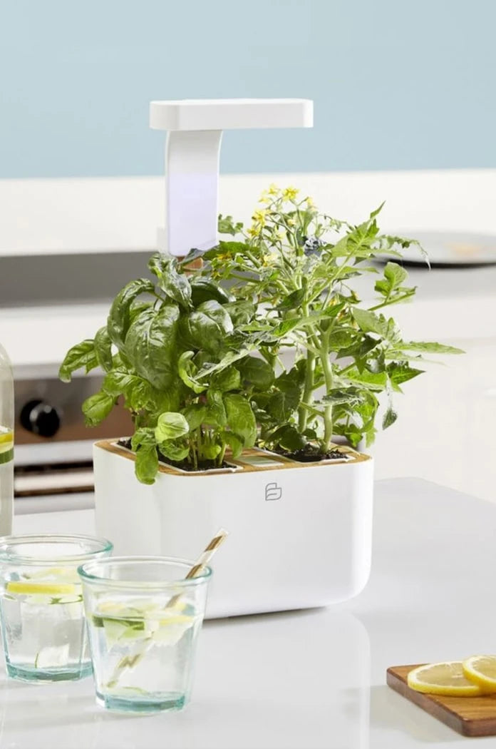 Veritable - Botaneo Eylo Otomatik Ev Bahçesi