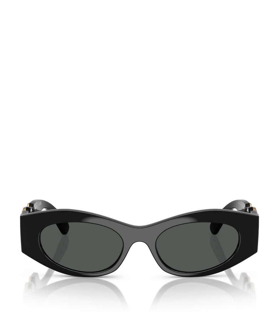 Black Acetate Oval Sunglasses