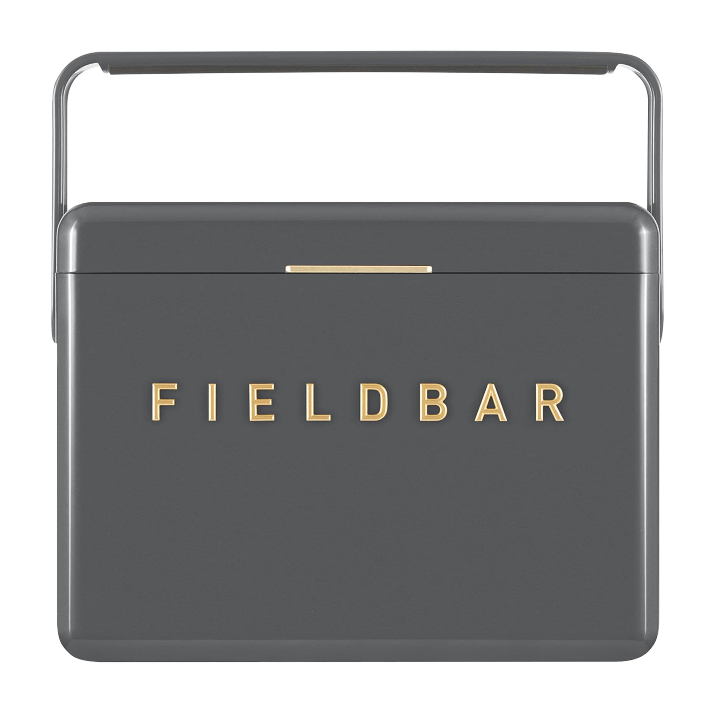 Mini Bar Cooler Box with Leather Sling (4L)
