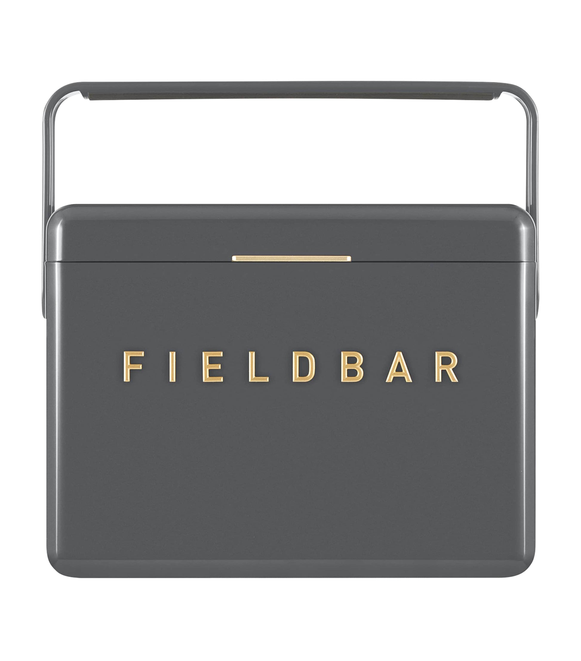 Mini Bar Cooler Box with Leather Sling (4L)