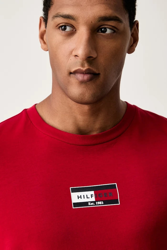 Tommy Hilfiger erkek pamuklu tişört