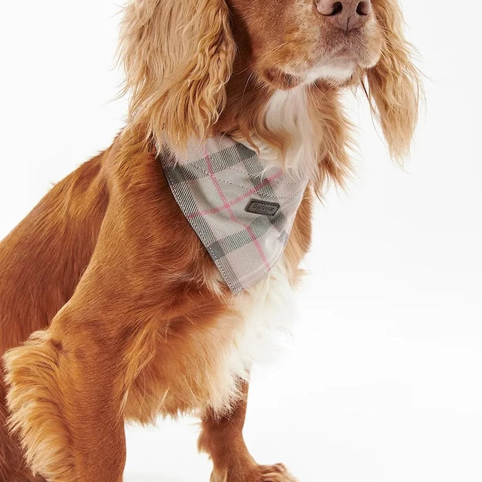 Barbour Tartan Köpek Bandanası
