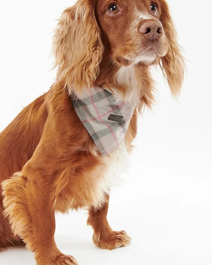 Barbour Tartan Köpek Bandanası