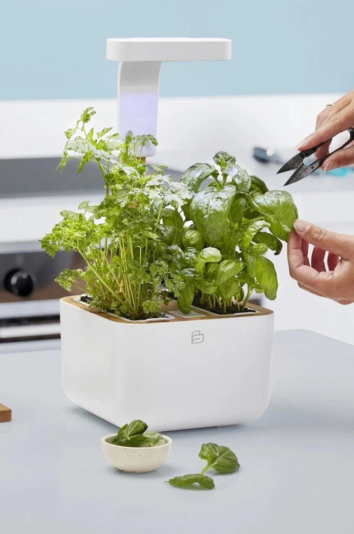Veritable - Botaneo Eylo Otomatik Ev Bahçesi