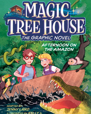 Afternoon on the Amazon Graphic Novel