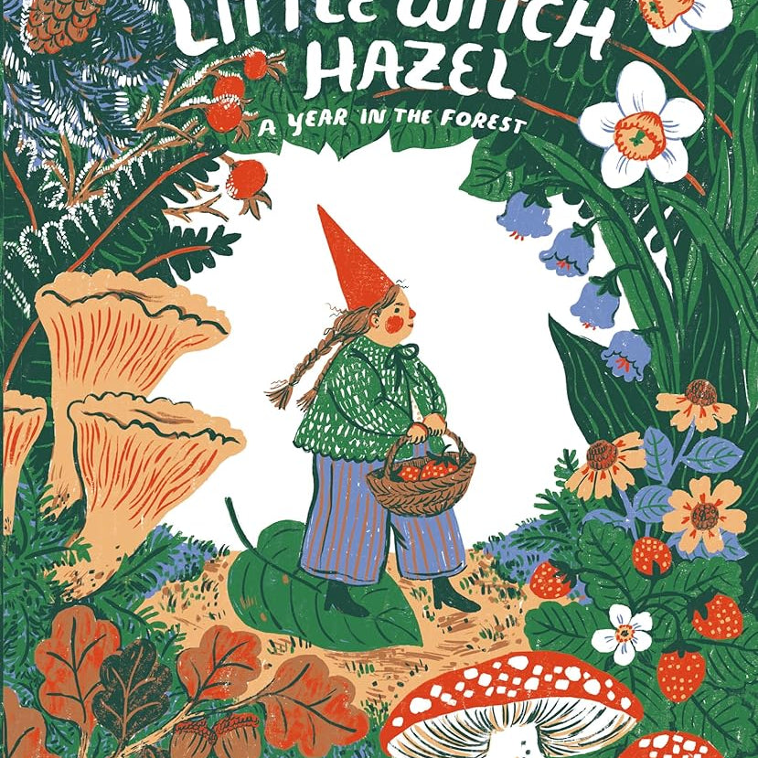 Little Witch Hazel: A Year in the Forest