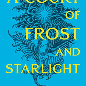 Court of Frost and Starlight