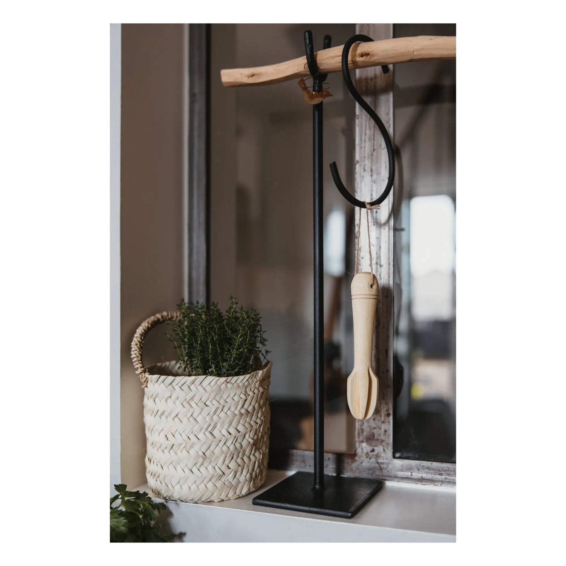 Cosydar - Lemon Wood Citrus Press