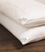 Eco Control King Pillow (50cm x 90cm)