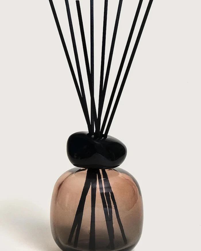Maison Berger Paris Kokulu Difüzör 260 ml