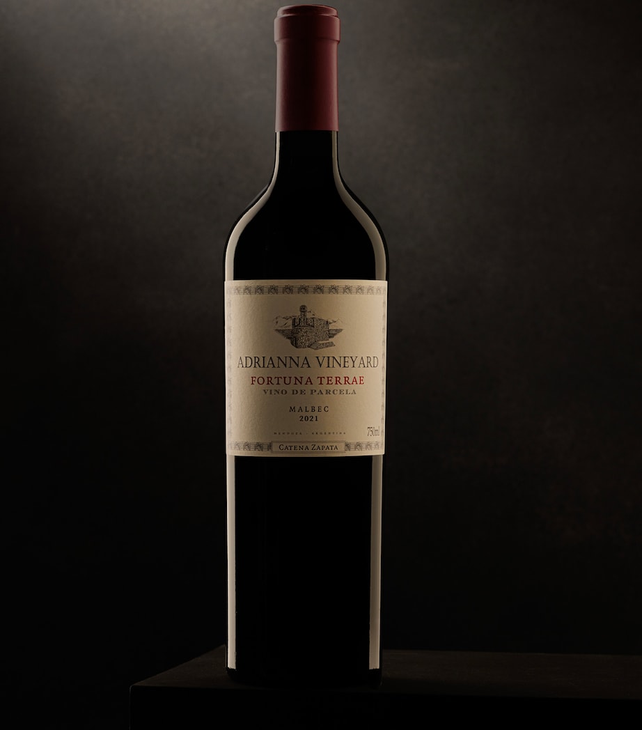 Catena Adrianna Vineyard Fortuna Terrae Malbec 2021 (75cl) – Mendoza, Argentina