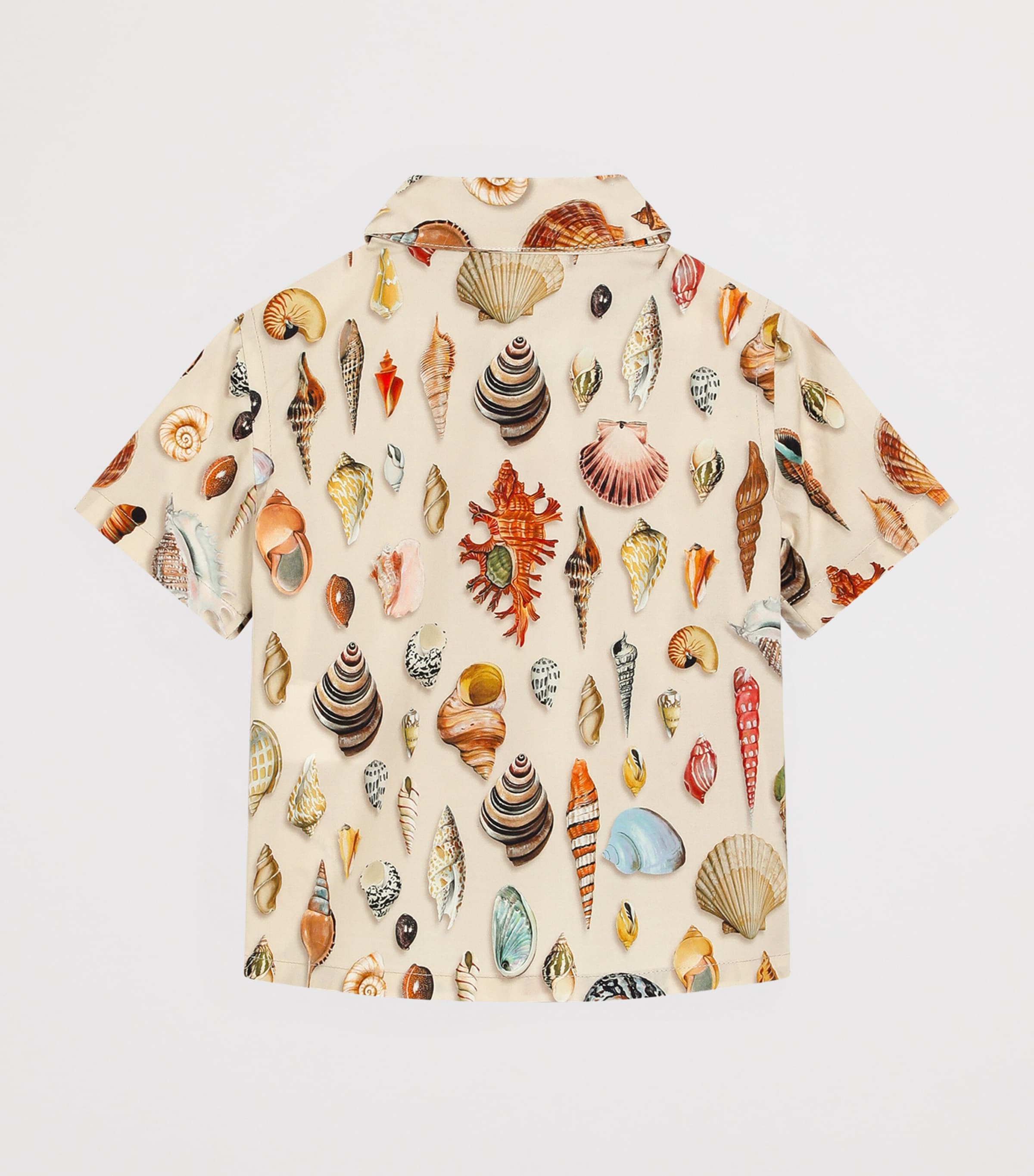 Dolce & Gabbana Kids Cotton Printed Shirt (3-36 Months)