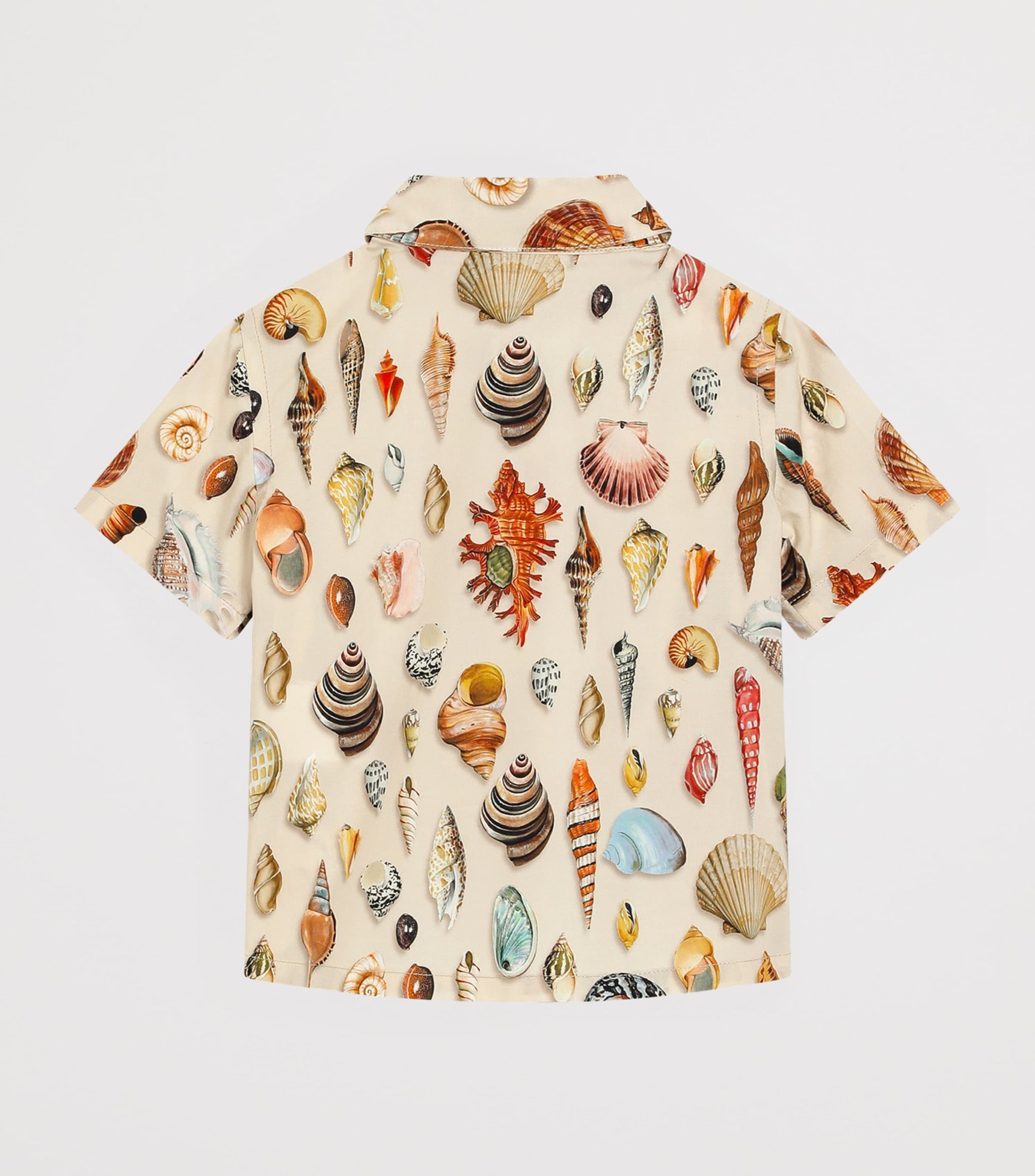 Dolce & Gabbana Kids Cotton Printed Shirt (3-36 Months)