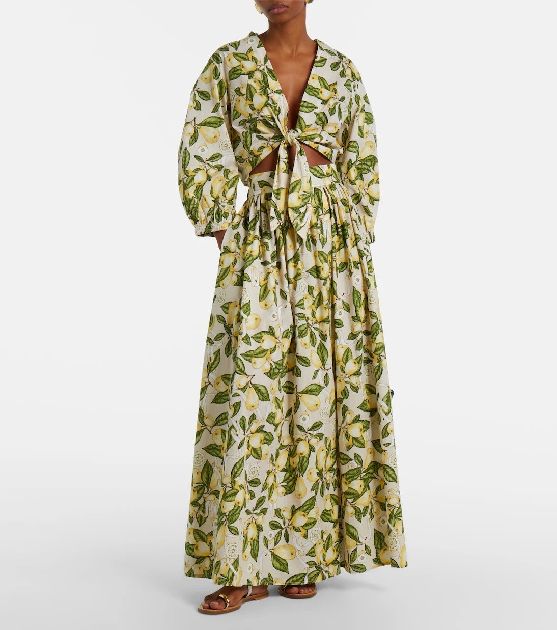 Adriana Degreas - Printed cotton-blend maxi skirt