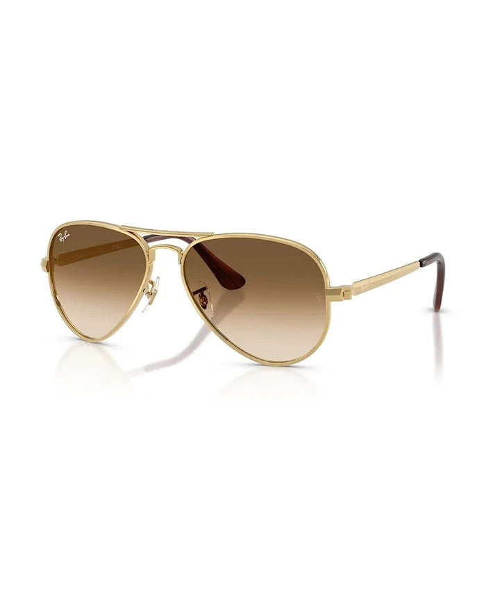 Ray-Ban Güneş Gözlüğü