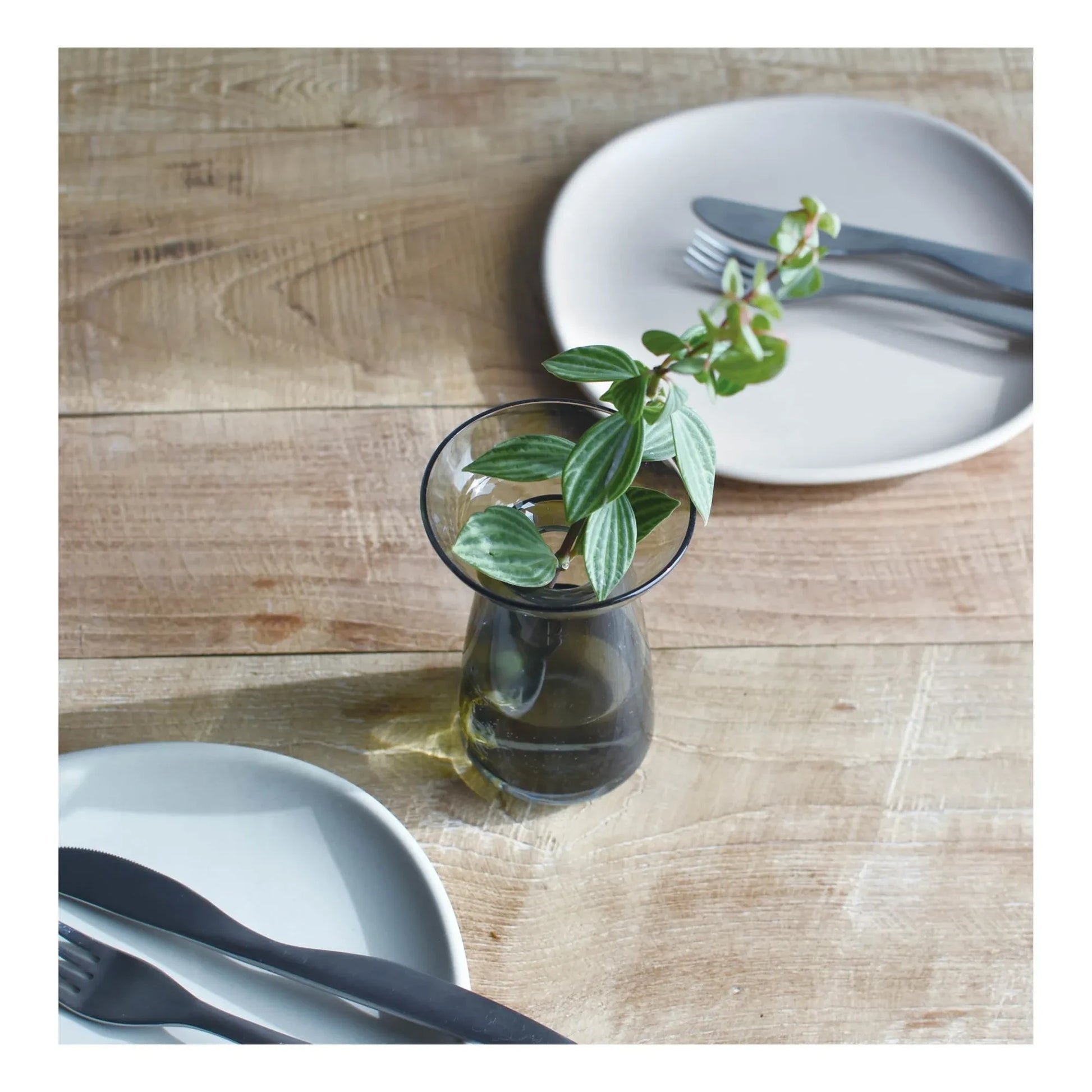Kinto - Aquaculture Glass Vase | Grey