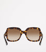 Brown Injected 0GC002057 Sunglasses