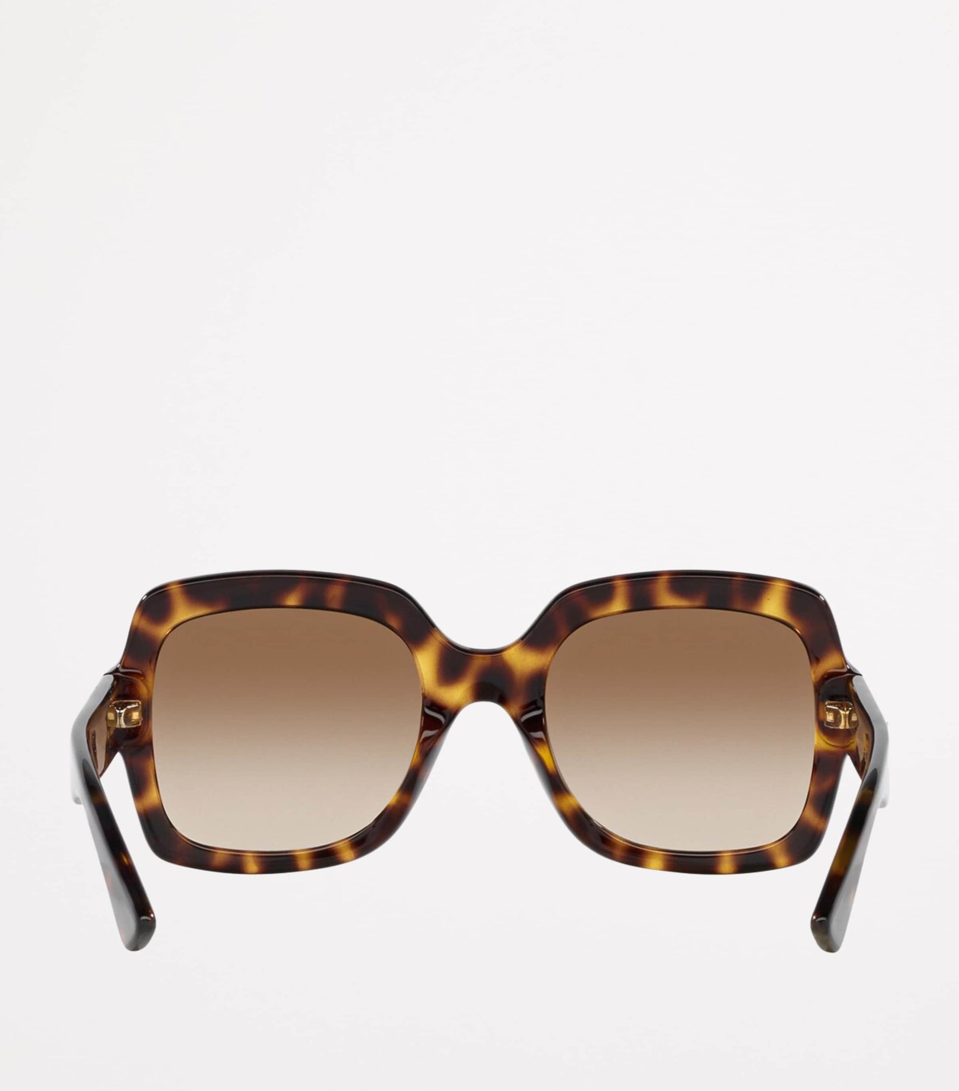Brown Injected 0GC002057 Sunglasses