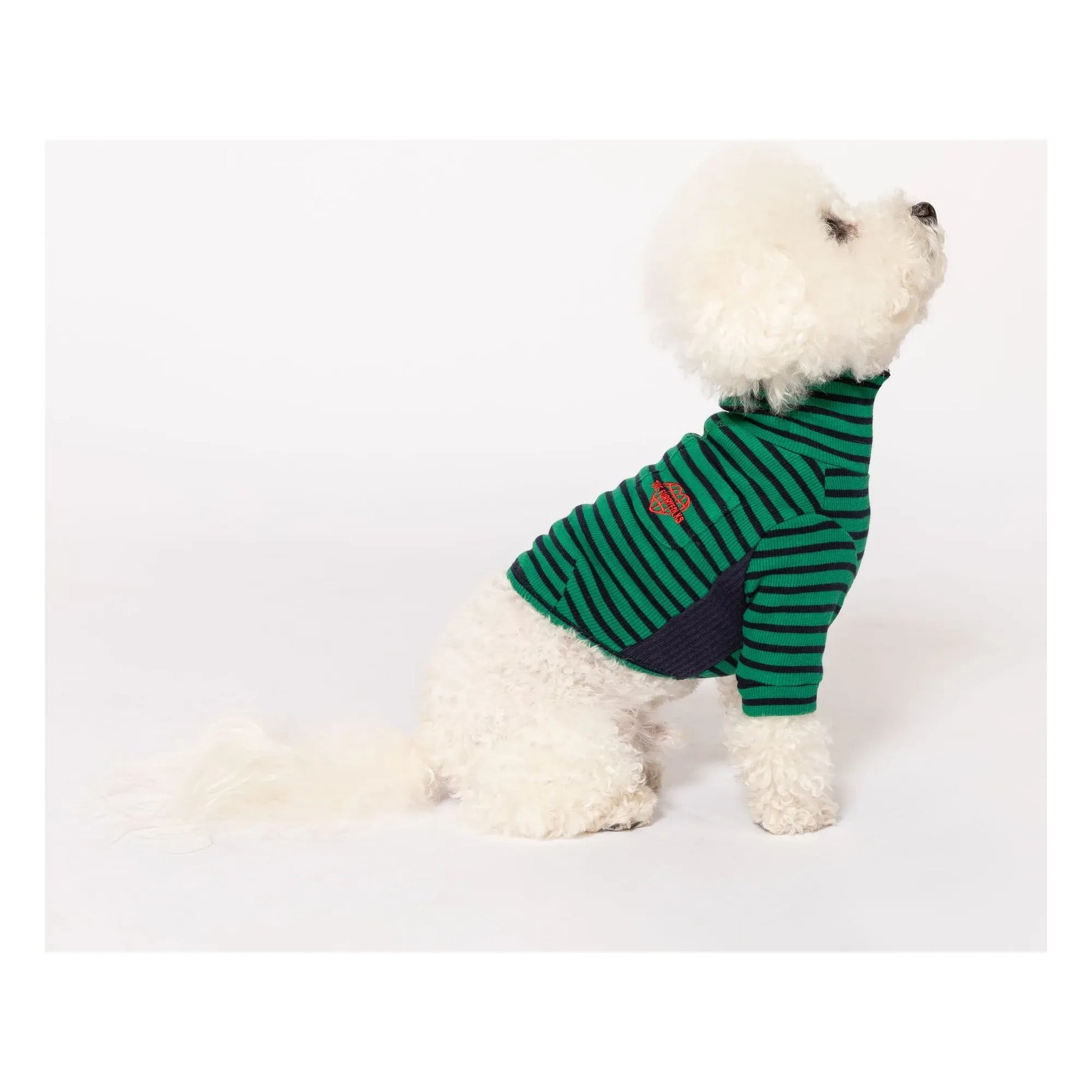 The Furry Folks - Striped sweater | Green