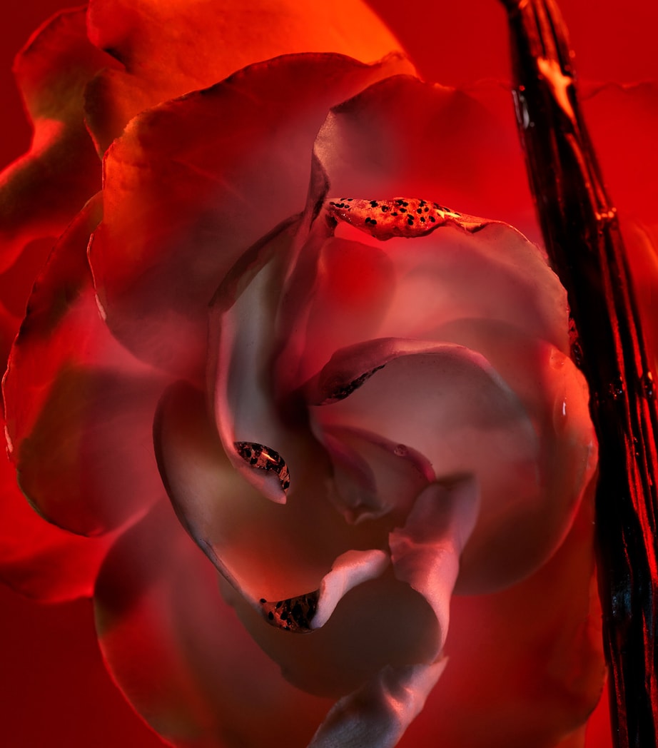 Allegra Baciami Eau de Parfum