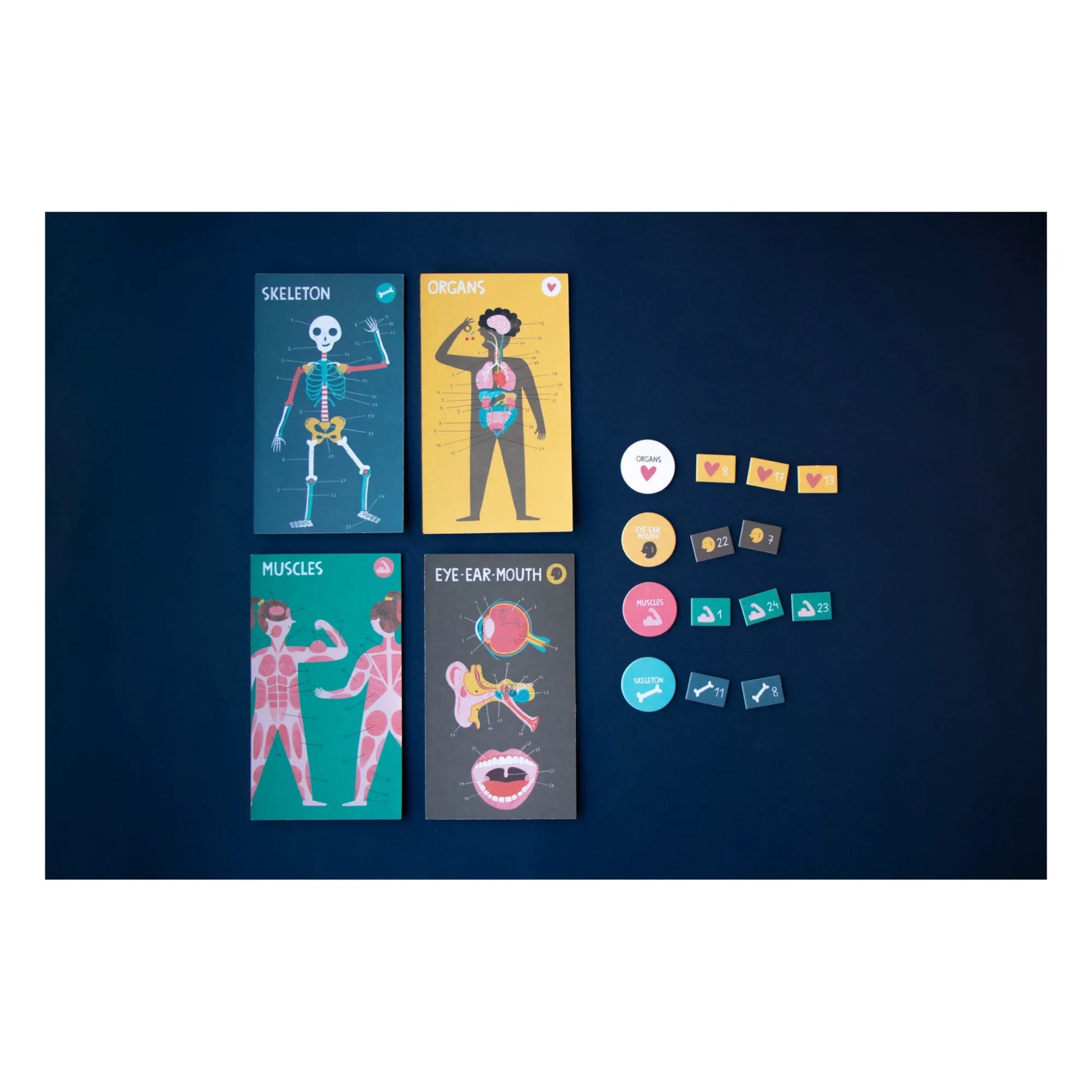 Londji - Inside Me Learning Game