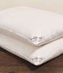 Thermal Balance Standard Pillow (50cm x 75cm)