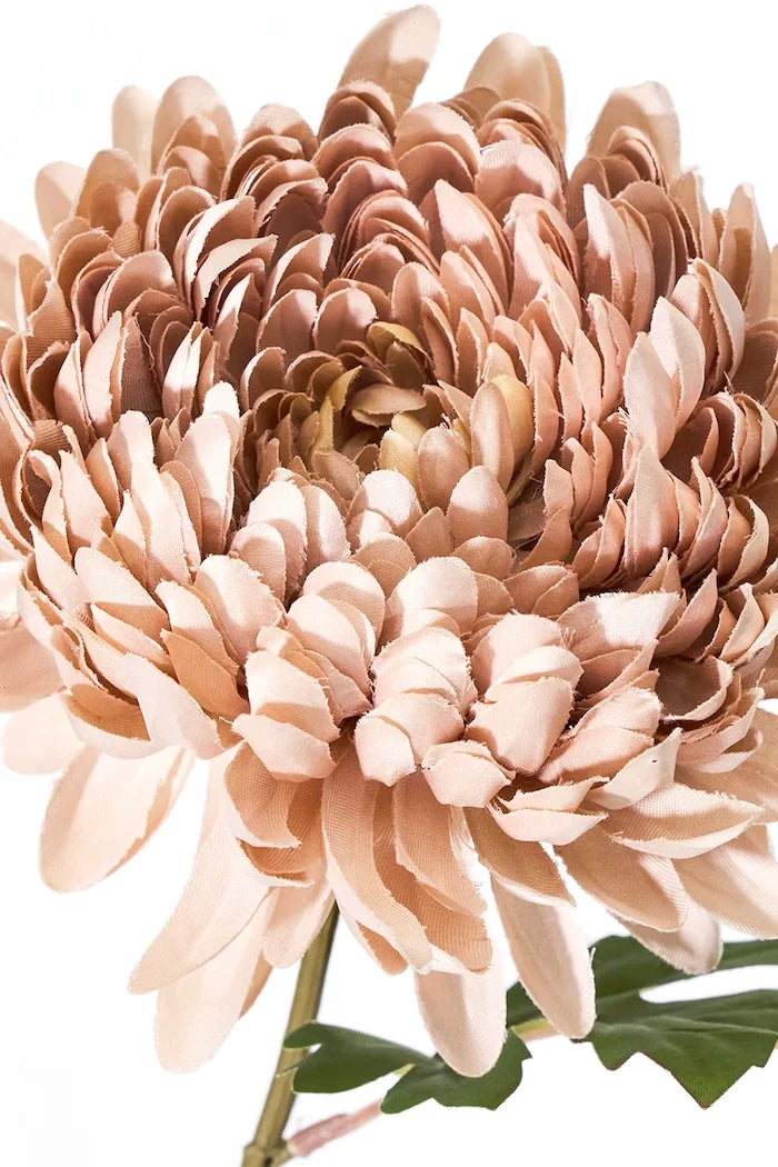 House Doctor HDChrysanthemum Yapay Çiçek 14 x 60 cm