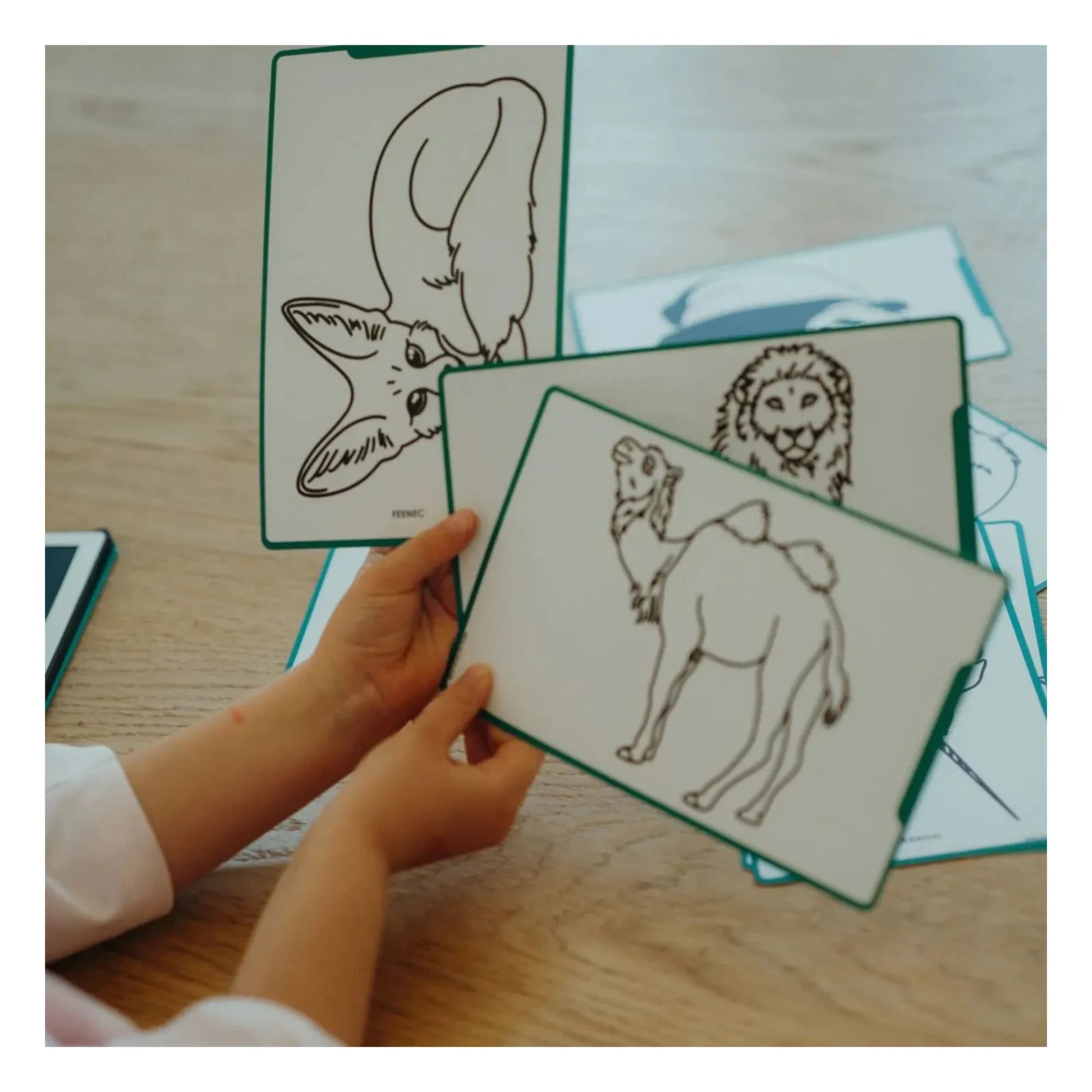 Kidywolf - Kidydraw Mini drawing board | Dark green