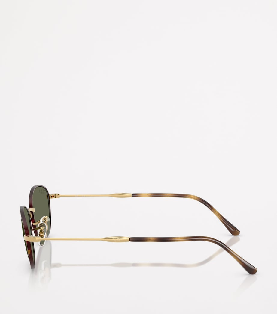 Ray-Ban Brown RB3749 Irregular Sunglasses